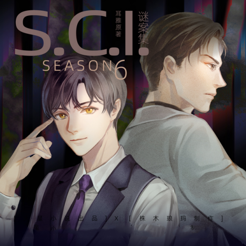 SCI谜案集 第六季